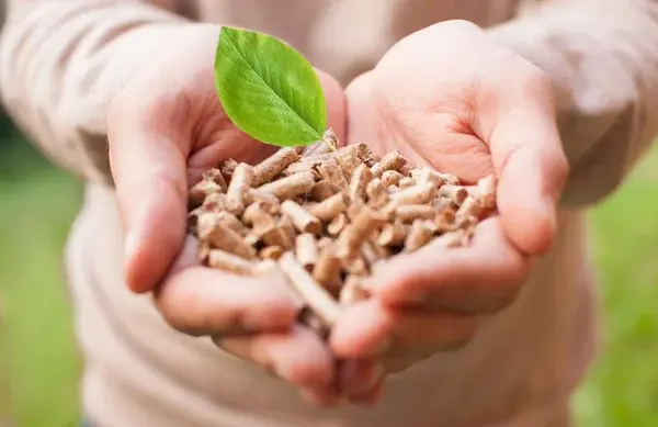 Bio Energy Choose Trinetra Greens' bio pallets for an environmentally friendly alternative to traditional pallets. Made from sustainable materials, our bio pallets are durable, cost-effective, and reduce your carbon footprint.