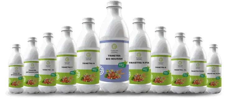 Bio Fertilizers Enhance your soil health with Trinetra Greens' premium organic fertilizers. Our eco-friendly solutions improve soil fertility, promote healthy plant growth, and support sustainable farming practices. Perfect for all types of crops.